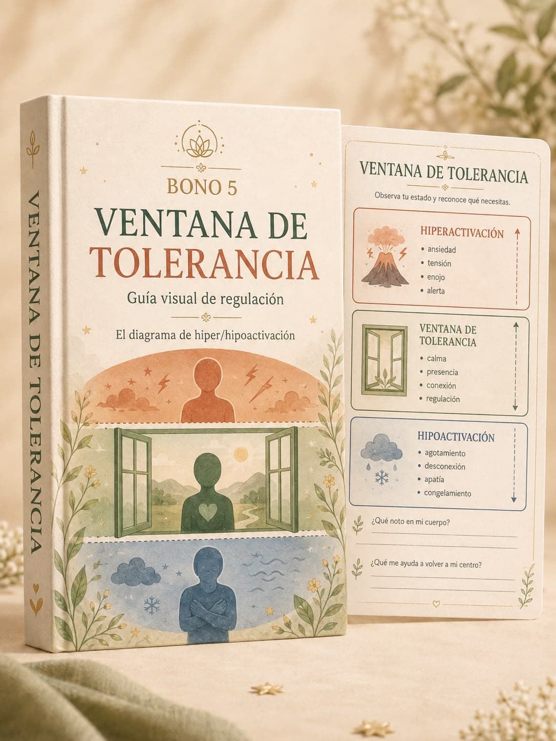 Ventana de tolerancia